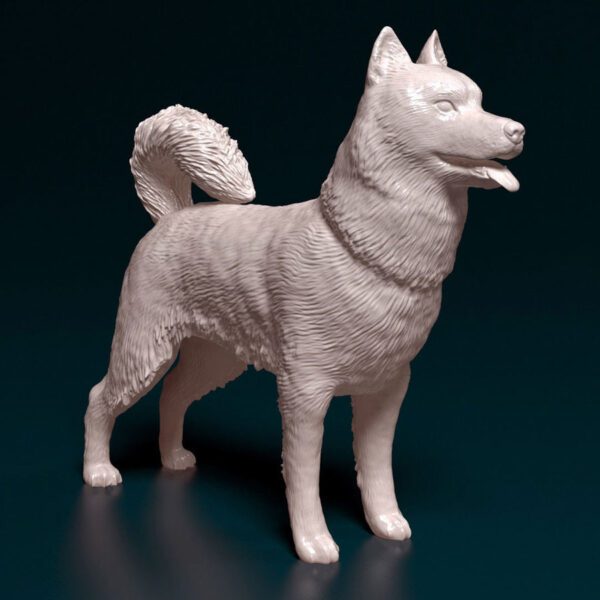 Figura 3D personaliza de Husky Siberiano